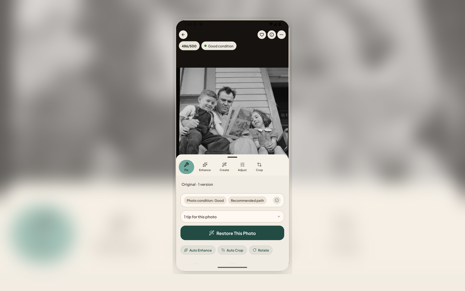 Asset info panel showing structured Who When Where What Story fields